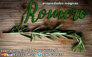 propiedades magicas del Romero