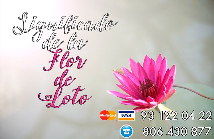 significado de la flor de loto
